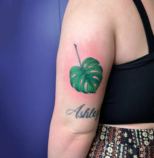 Monstera leaf tattoo