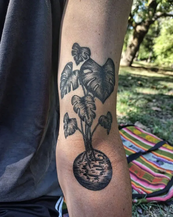 Monstera tattoo 39