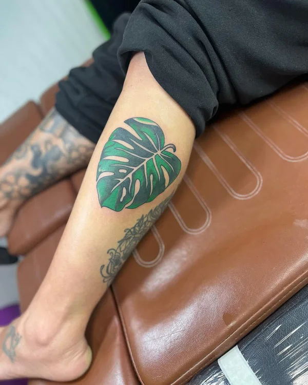 Monstera tattoo 53