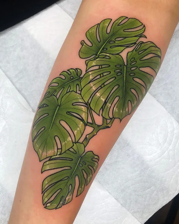 Monstera tattoo 62