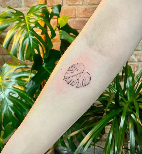 Monstera tattoo 8