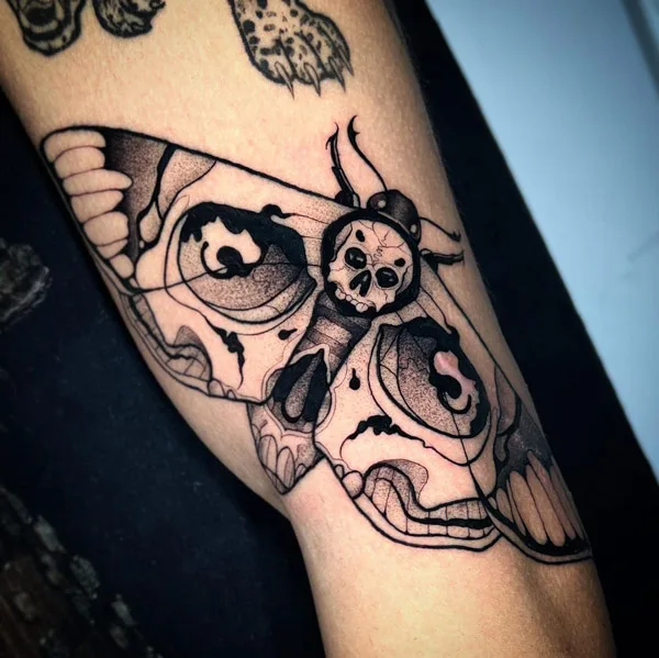 Moth Skull Tattoo 3