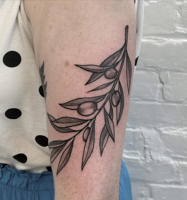 Olive Branch Tattoo Meaning