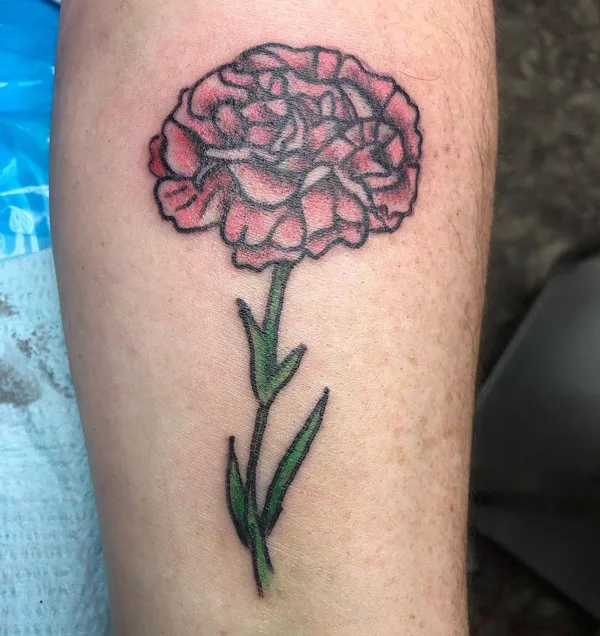 Pink Carnation Tattoo 2