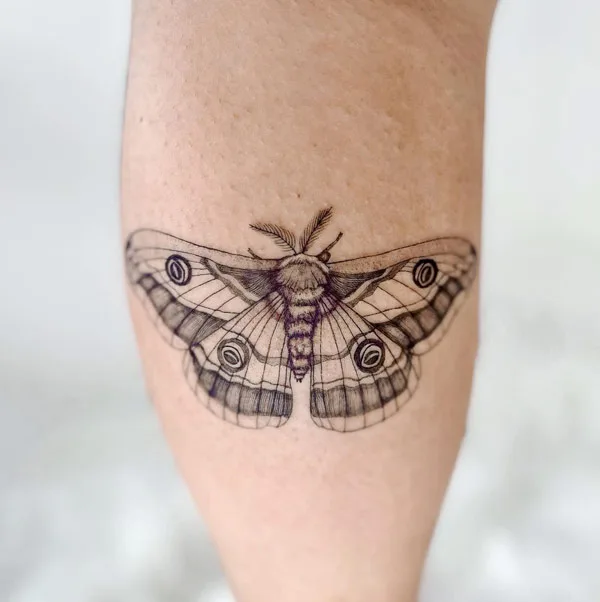 Polyphemus Moth Tattoo