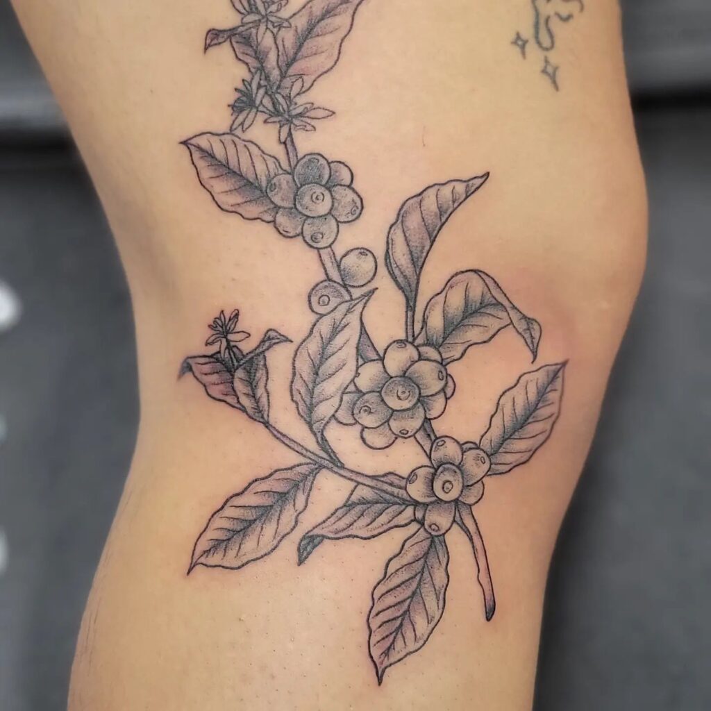 Pretty coffee plant knee tattoos for females natures beauty