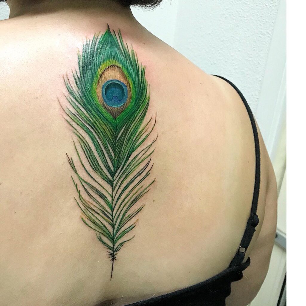 Prominent grace significant peacock feather tattoo gracing the back of the neck