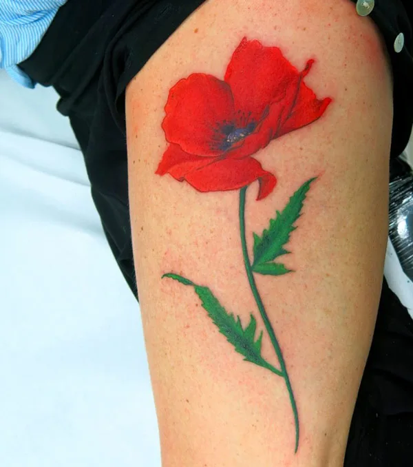 Realistic August Birth Flower Tattoo 1