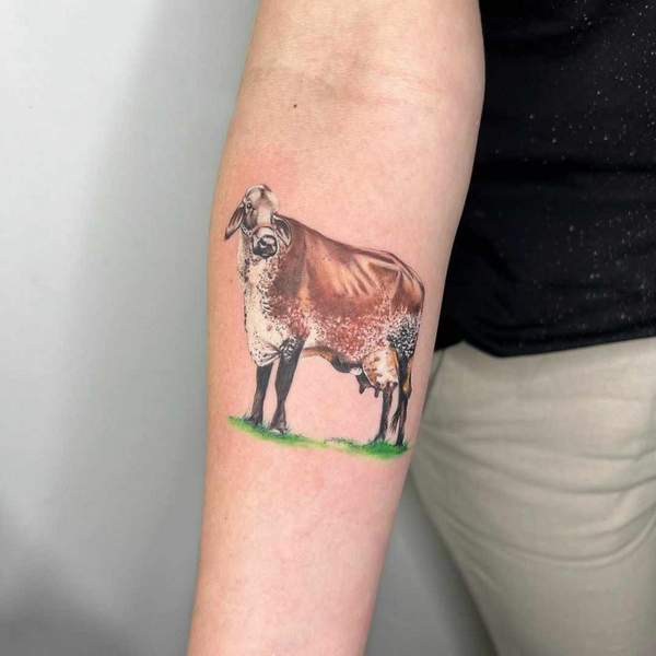 Realistic Cow Tattoo 1