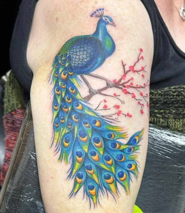 Realistic Peacock Tattoo