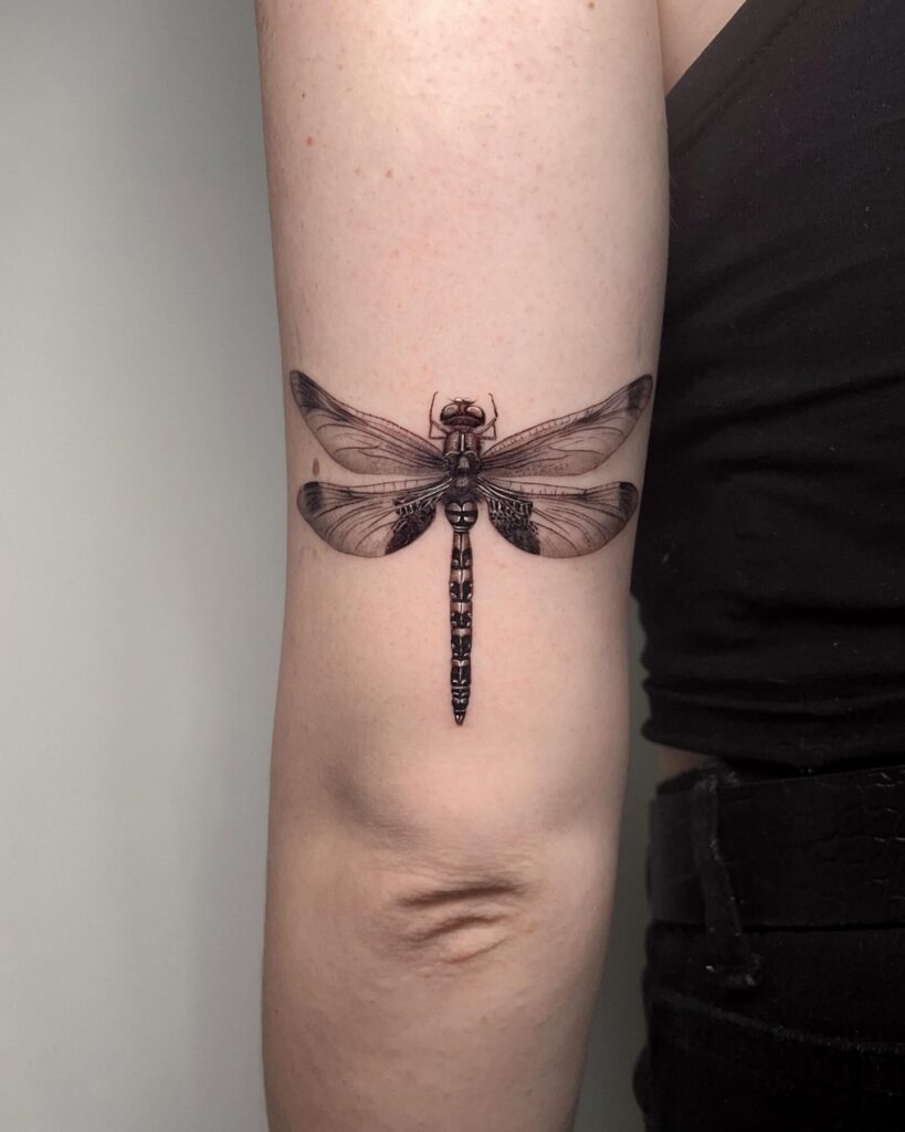 Realistic Black and Gray Dragonfly Tattoo with Intricate Shading