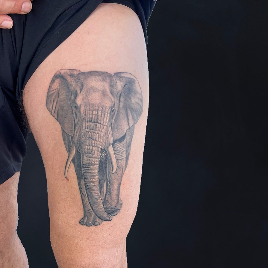 Realistic black and gray elephant tattoo on thigh, front view with an inviting presence majestic approach