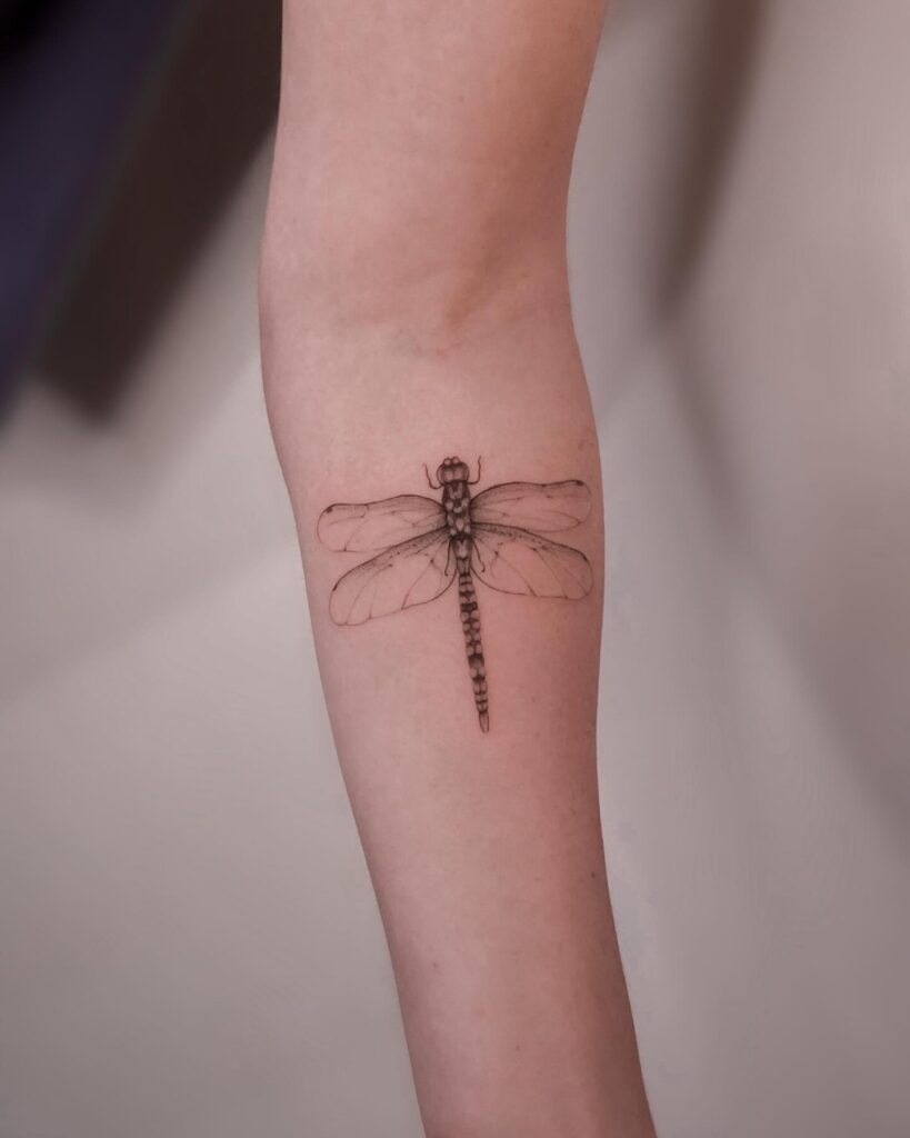 Realistic Dragonfly Forearm Tattoo with Intricate Wing Details and Shading