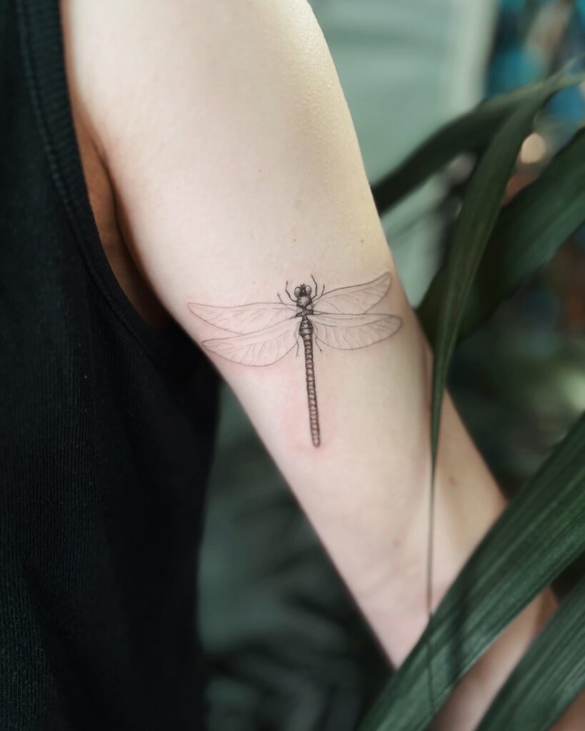 Realistic Fine-Line Dragonfly Tattoo on the Arm with Soft Transparency