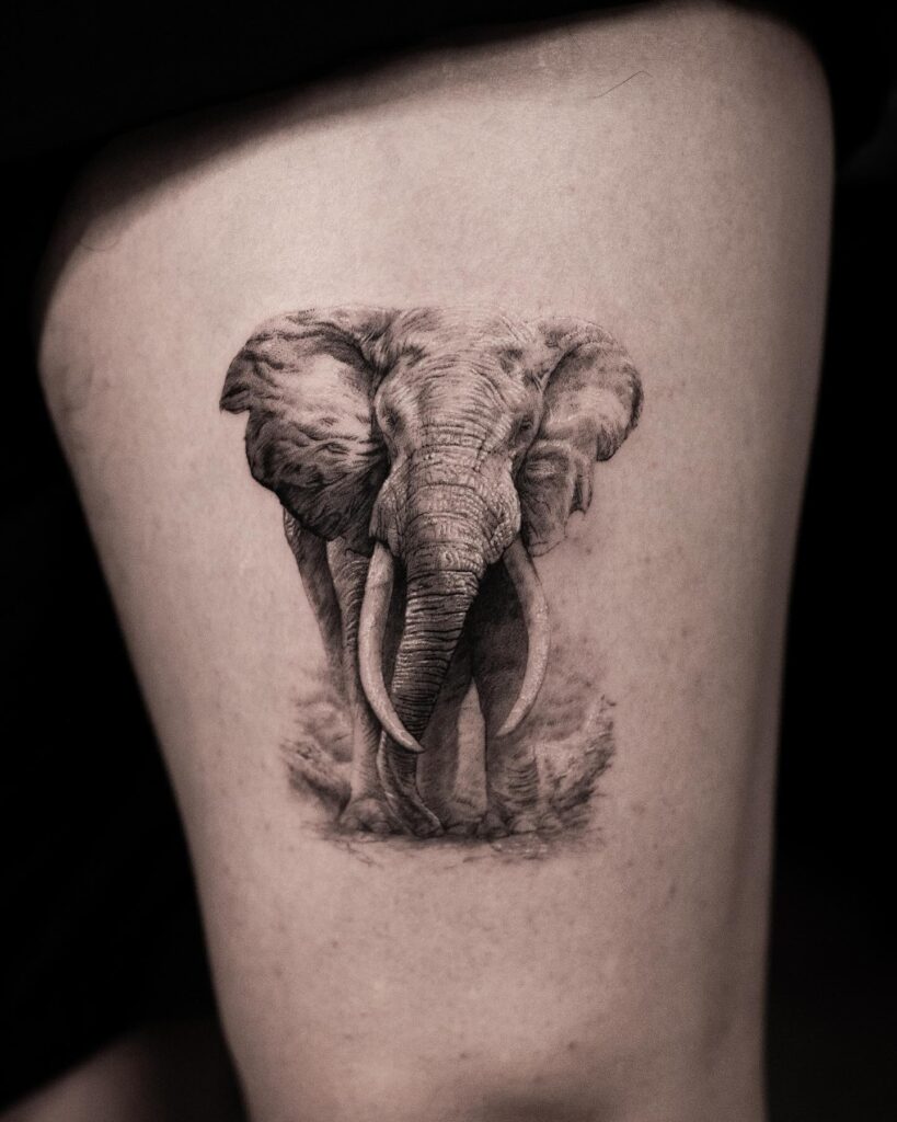 Realistic front view elephant tattoo in black and grey: majestic thigh beauty