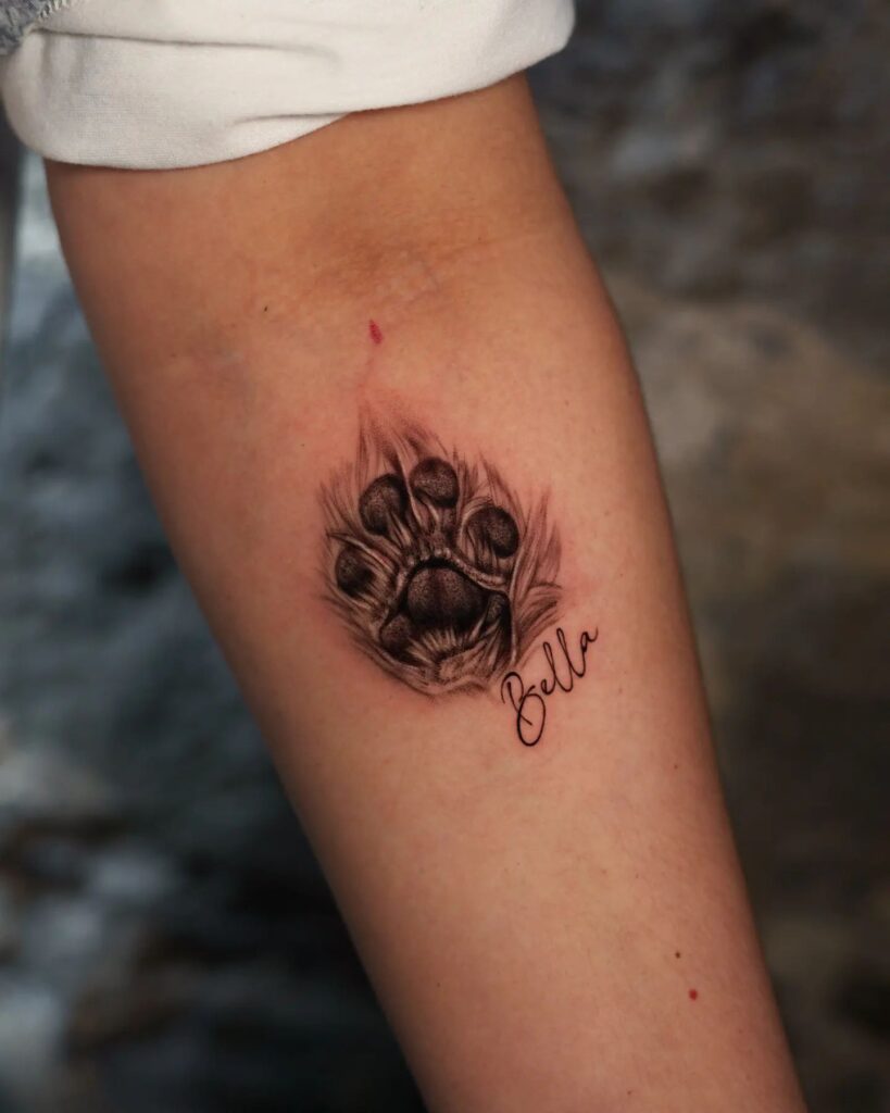 Realistic Paw Print Below the Elbow with 'Bella' Fineline Lettering: Bella's Mark