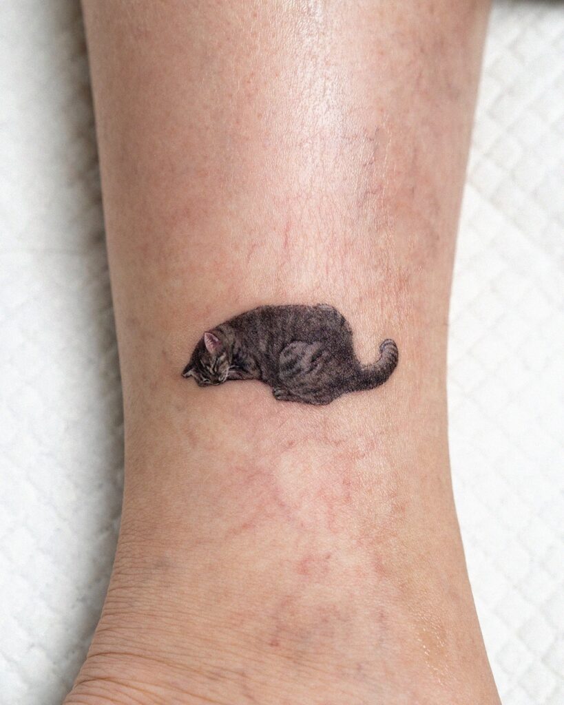 Realistic sleeping cat tattoo on inner ankle with soft shading