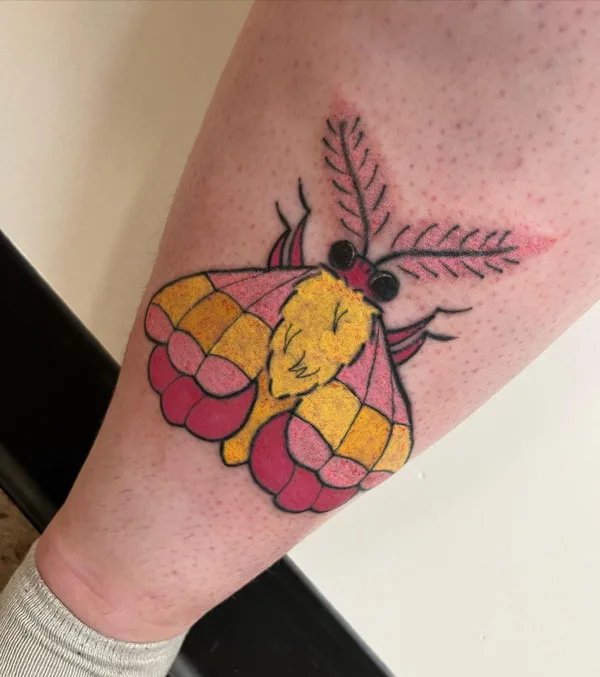 Rosy Maple Moth Tattoo 1