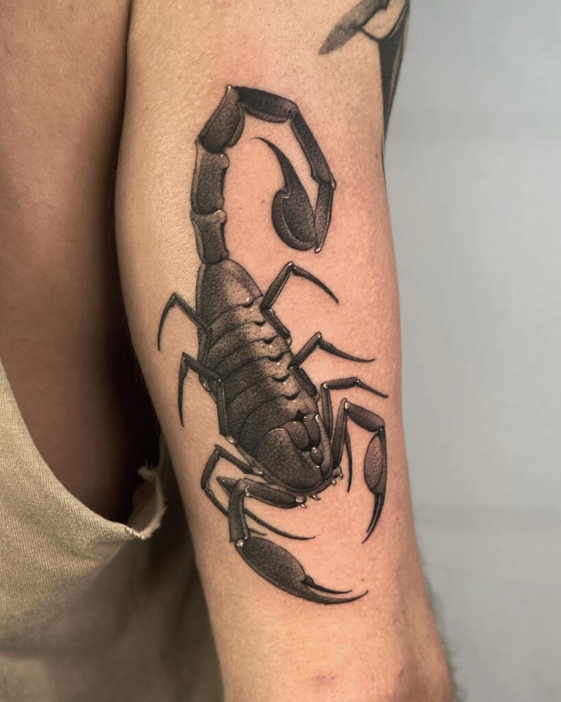 Scorpion Tattoo on the Back of the Arm, Showcasing Blackwork Excellence: Stinger Chic