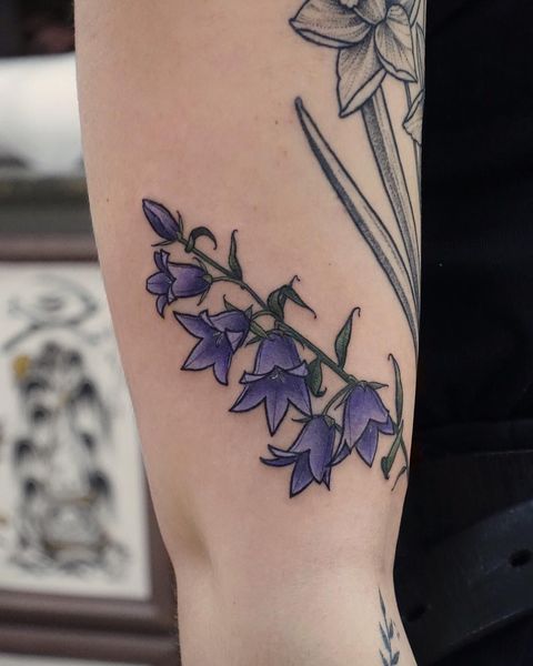 Shaded And Colored Combo Bluebell Tattoos Design For Female