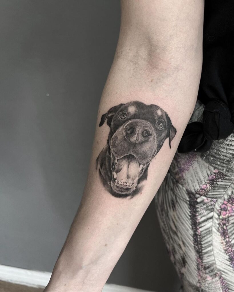 Shaded and detailed rottweiler face portrait on the forearm rottweiler majesty
