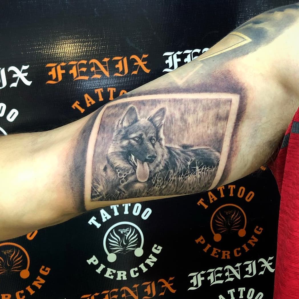 Shaded german shepherd leg tattoos design with image Shaded german shepherd leg tattoos design with image