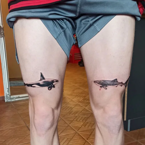 Shark above knee tattoo