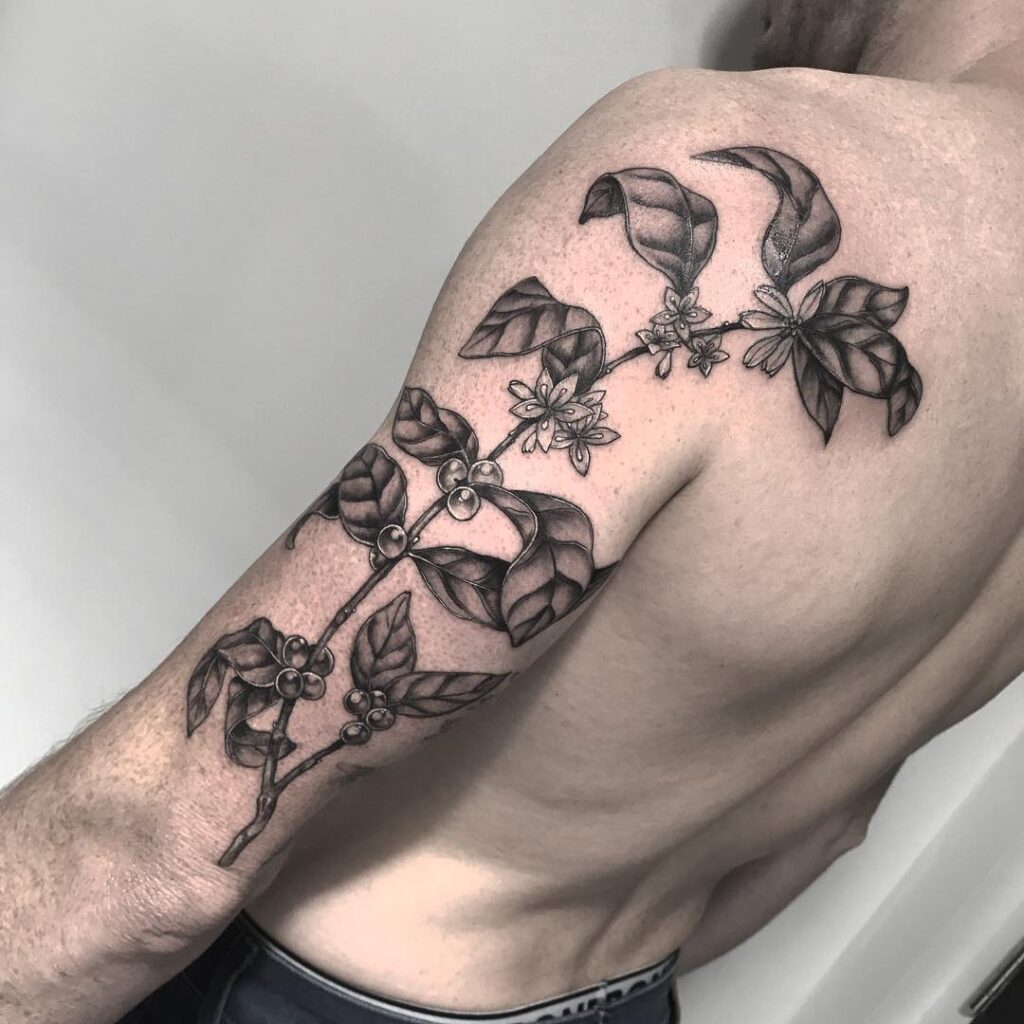 Shoulder to elbow coffee plant tattoo for men artful expression