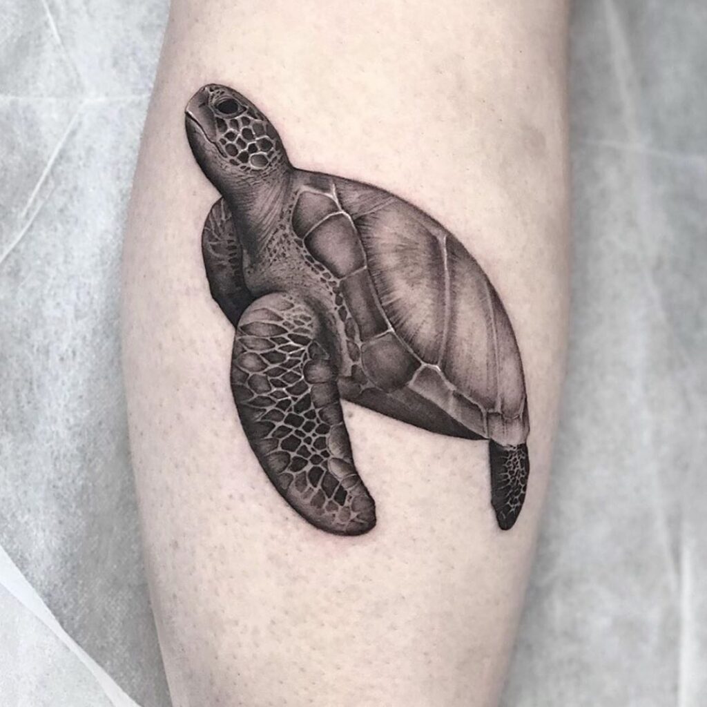 Side View and Upward Head Turtle Tattoo in Black and Grey on the Calf: Turtle Tales 