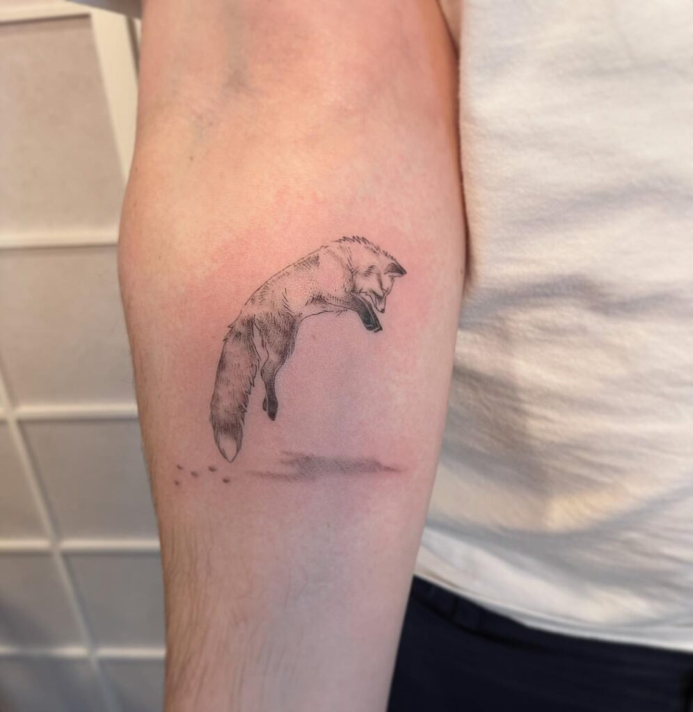 Side View of a Jumping Fox Below the Elbow, Playfully Intriguing: Cheeky Charmer