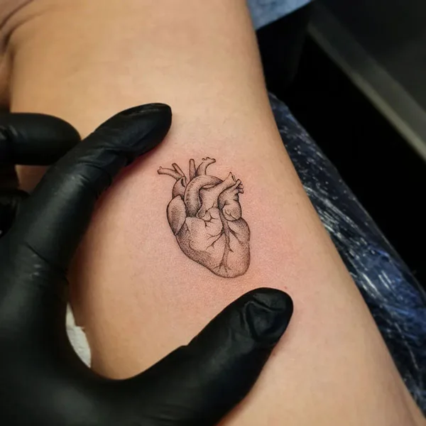 Simple anatomical heart tattoo