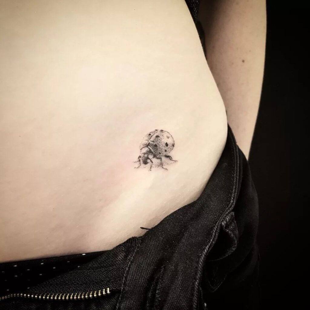 Small Side Belly Ladybug Tattoos for Females Hip and Chic Body Art