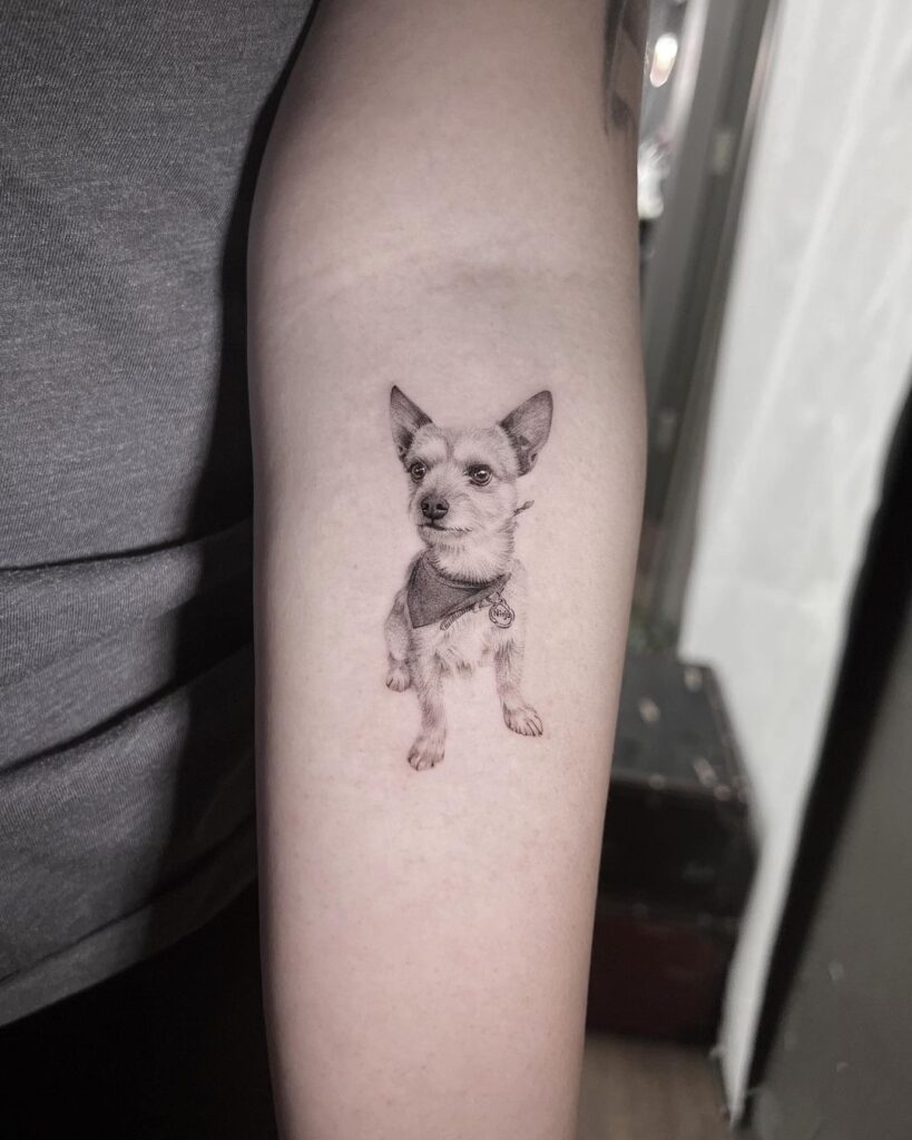 Small black and gray dog full body portrait below the elbow creative canine
