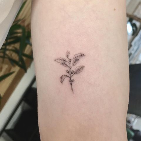 Small Coffee Plant Tattoo Design on Hand