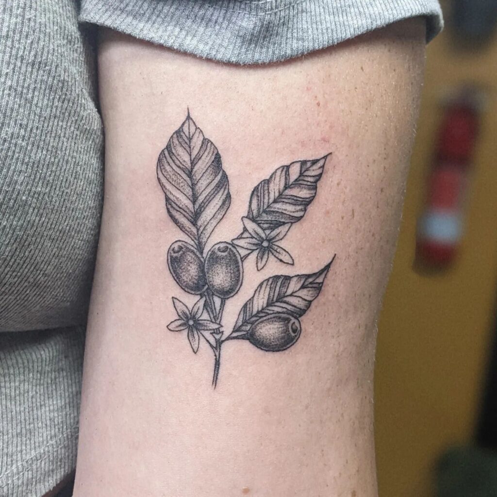Small fineline coffee plant tattoo on biceps and forearm for women