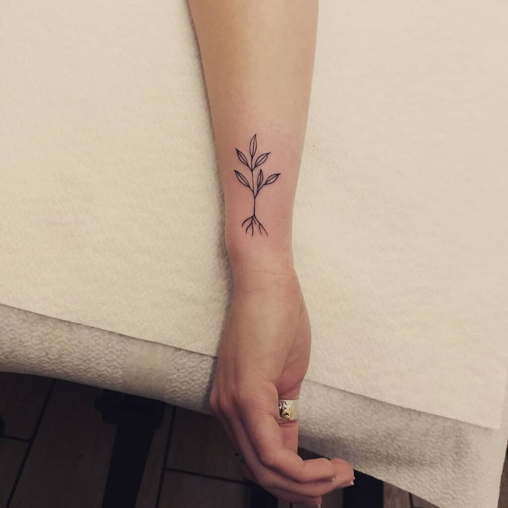 Small outline plant tattoo outer wrist design for girls