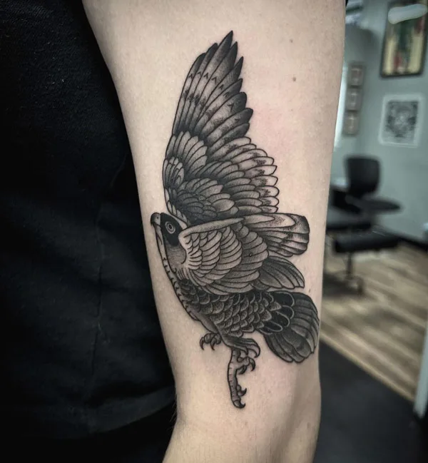 Sparrow Hawk Tattoo 1