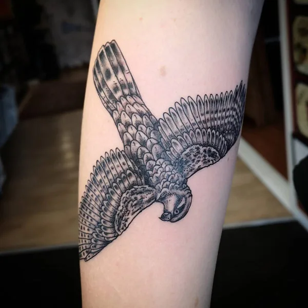 Sparrow Hawk Tattoo 2