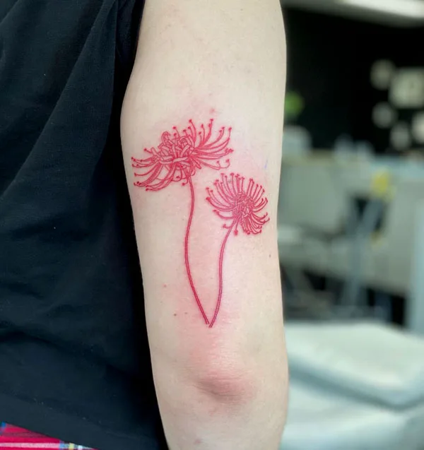 Spider Lily Tattoo 100