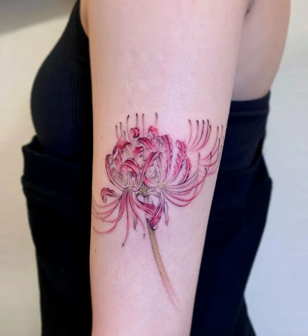 Spider Lily Tattoo 108