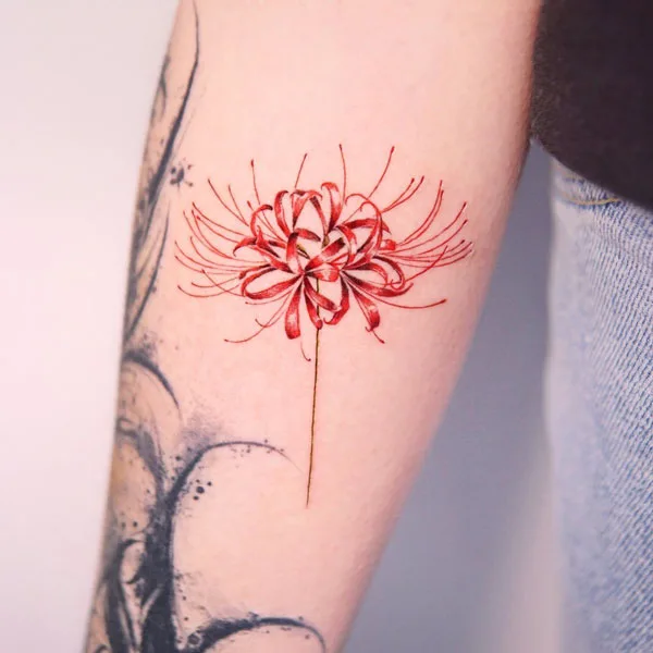 Spider Lily Tattoo 12