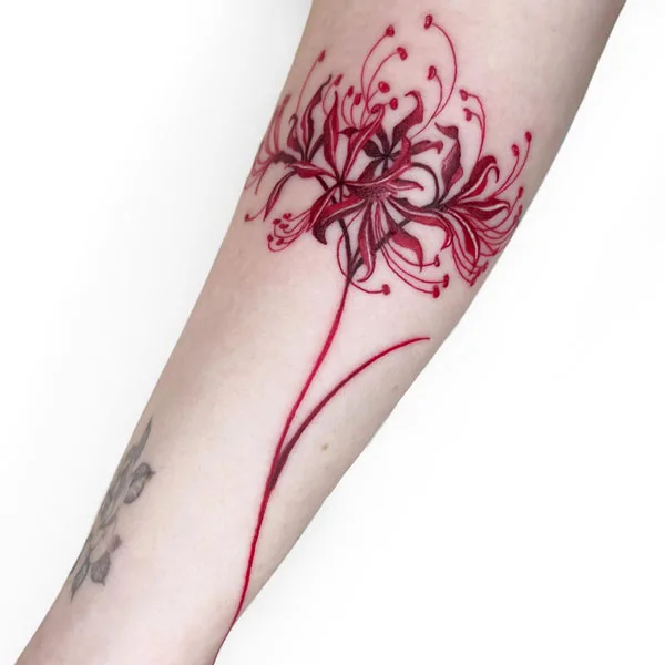 Spider Lily Tattoo 130