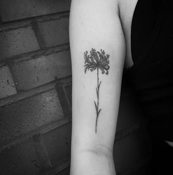 Spider Lily Tattoo 131