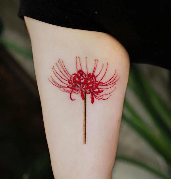 Spider Lily Tattoo 16