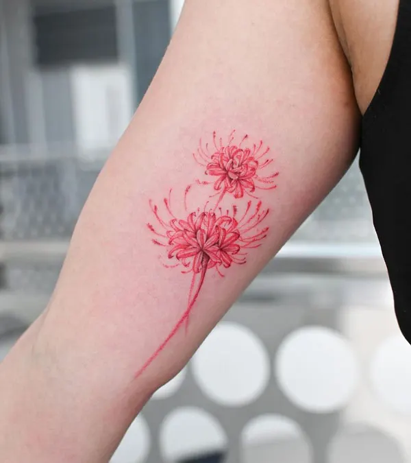 Spider Lily Tattoo 27