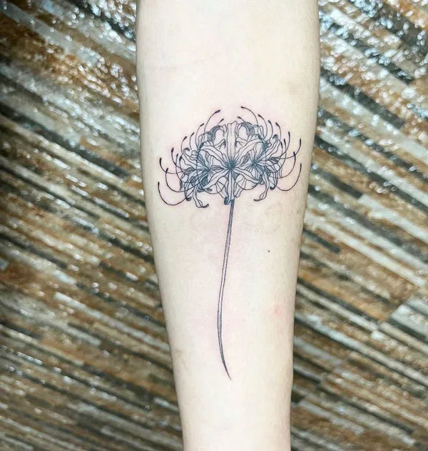 Spider Lily Tattoo 35