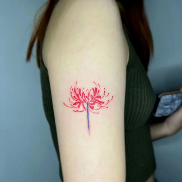 Spider Lily Tattoo 50