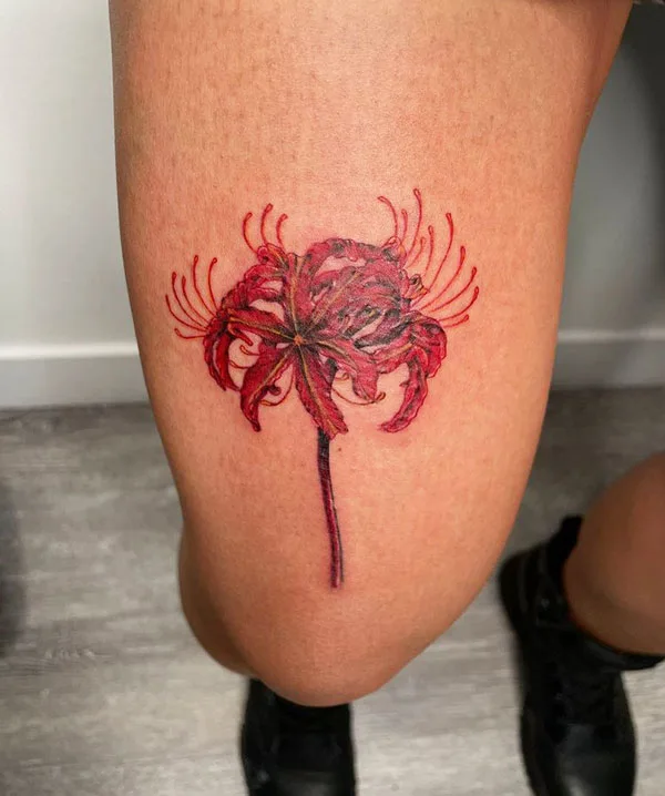 Spider Lily Tattoo 77