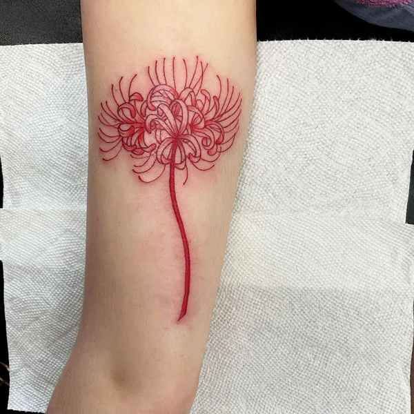 Spider Lily Tattoo 89