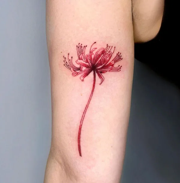 Spider Lily Tattoo 98